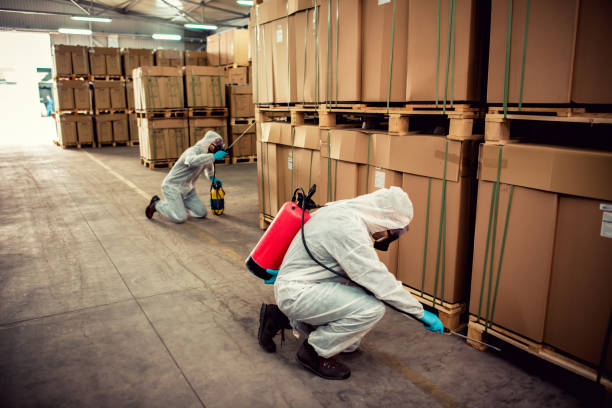 Rio Hondo, TX Pest Control Company