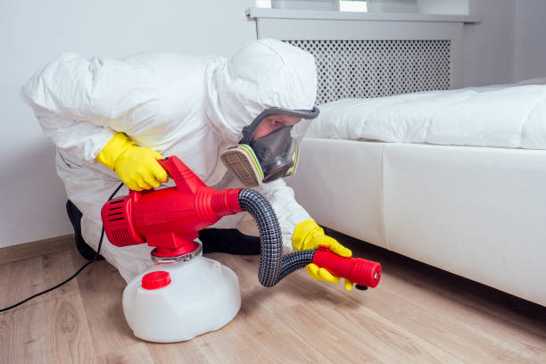Best Pest Prevention Services  in Rio Hondo, TX