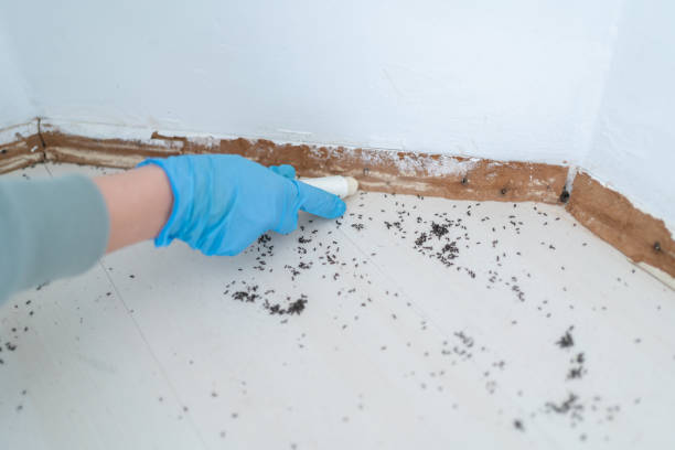 Best Wildlife Control Services  in Rio Hondo, TX